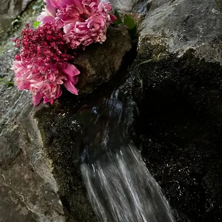 Apartament Apartmentvillasolomon7 - Dunakanyar Panoramas