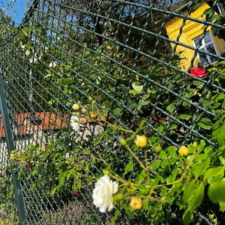 Apartmentvillasolomon7 - Dunakanyar Panoramas Visegrád