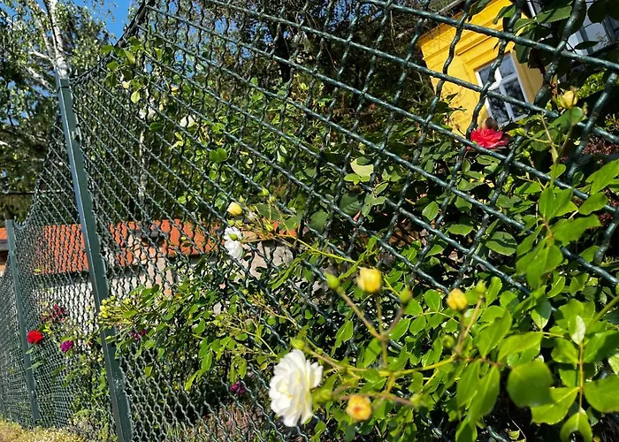 Apartmentvillasolomon7 - Dunakanyar Panoramas Visegrad